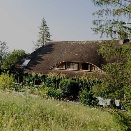 לינה וארוחת בוקר Villecien Domaine Foray מראה חיצוני תמונה